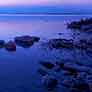 undefined 40